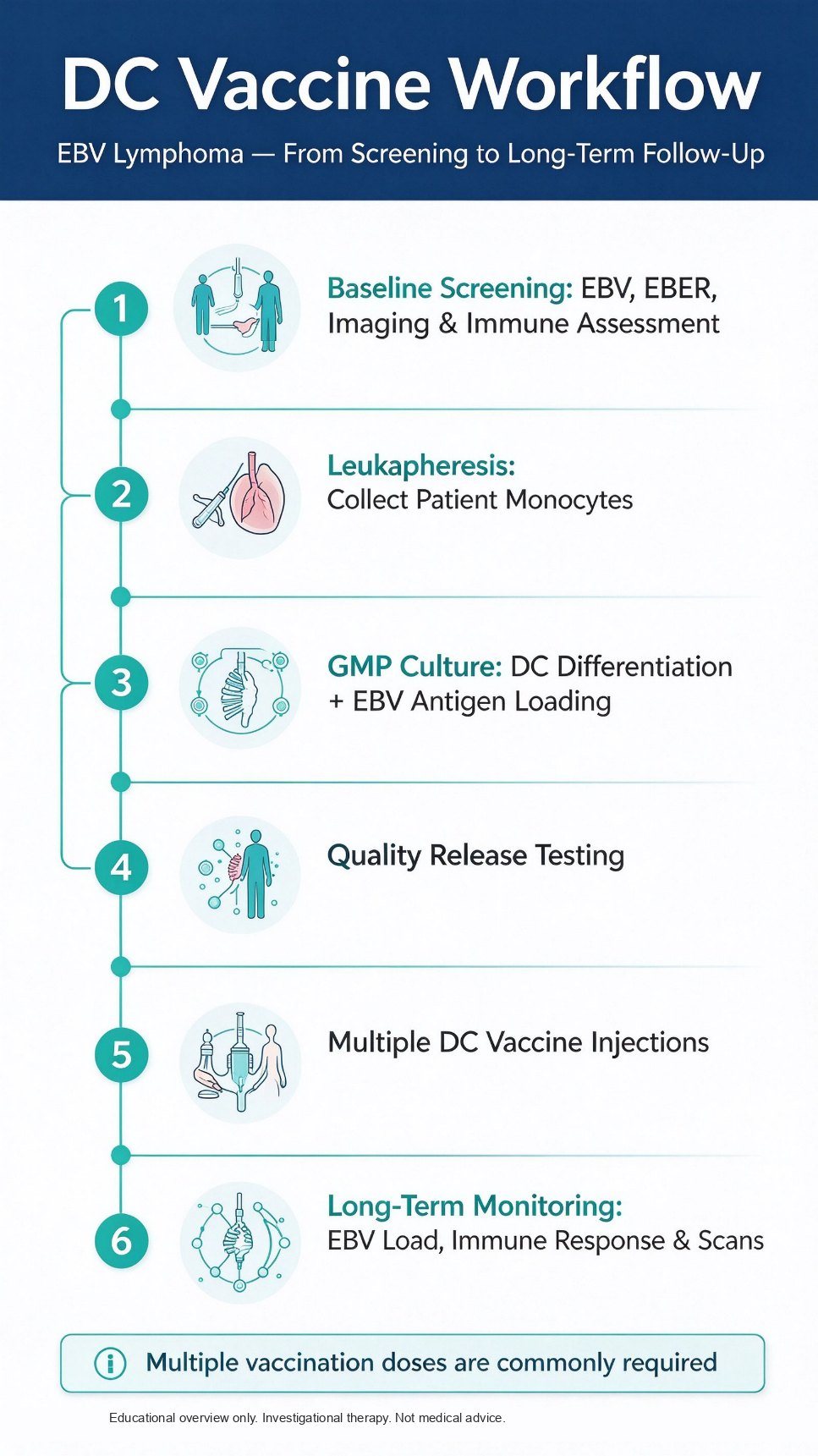 Steps: confirm EBER, collect monocytes, load antigen without gene modification, release testing, repeated vaccinations, then EBV viral-load and imaging follow-up