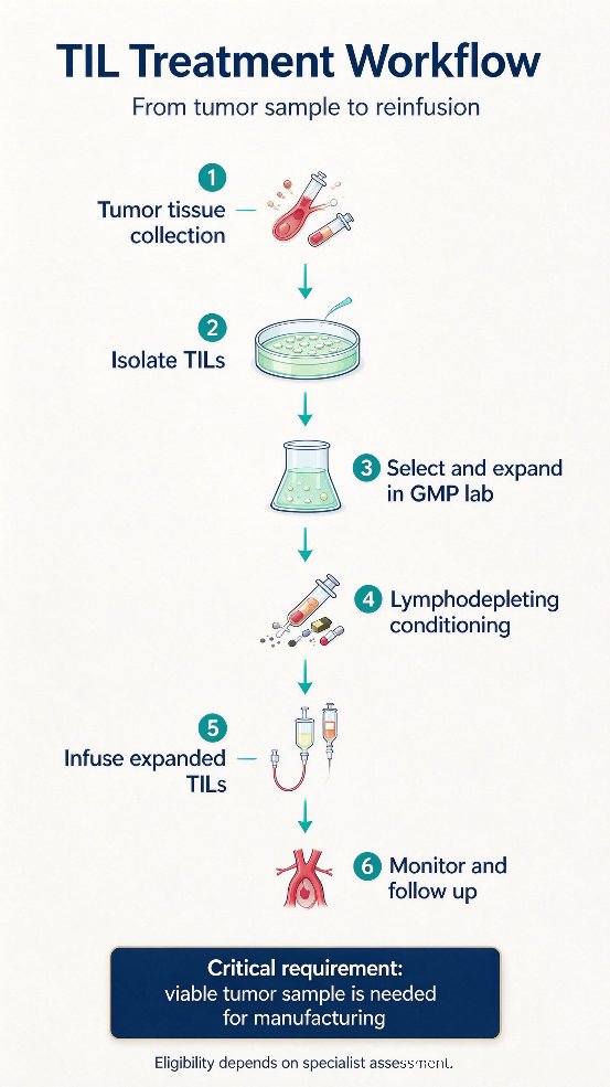 Six-step TIL workflow: tumor tissue, isolation, GMP expansion, lymphodepletion, infusion, and follow-up